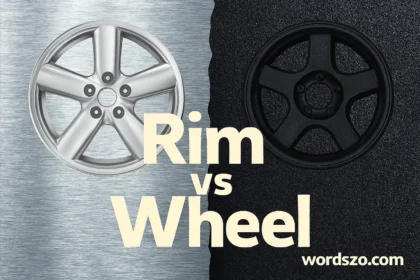rim or wheel