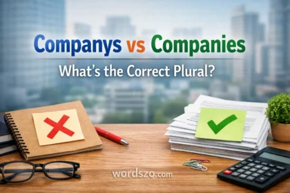 companies or companys