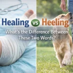 healing or heeling