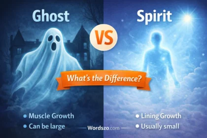 ghost or spirit