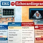 EKG or echocardiogram