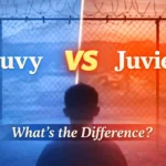 juvy or juvie