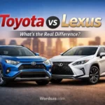 toyota or lexus
